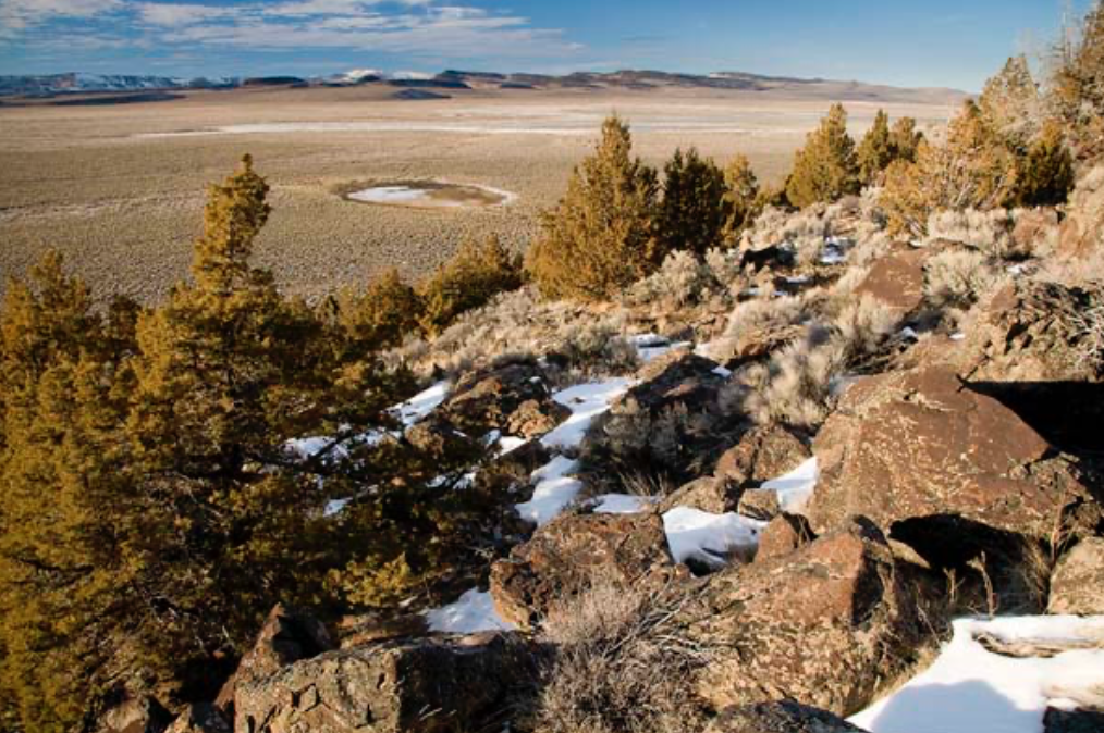 80 Acres – Stargazer’s Dream!